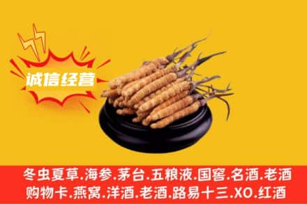 七台河勃利县回收冬虫夏草